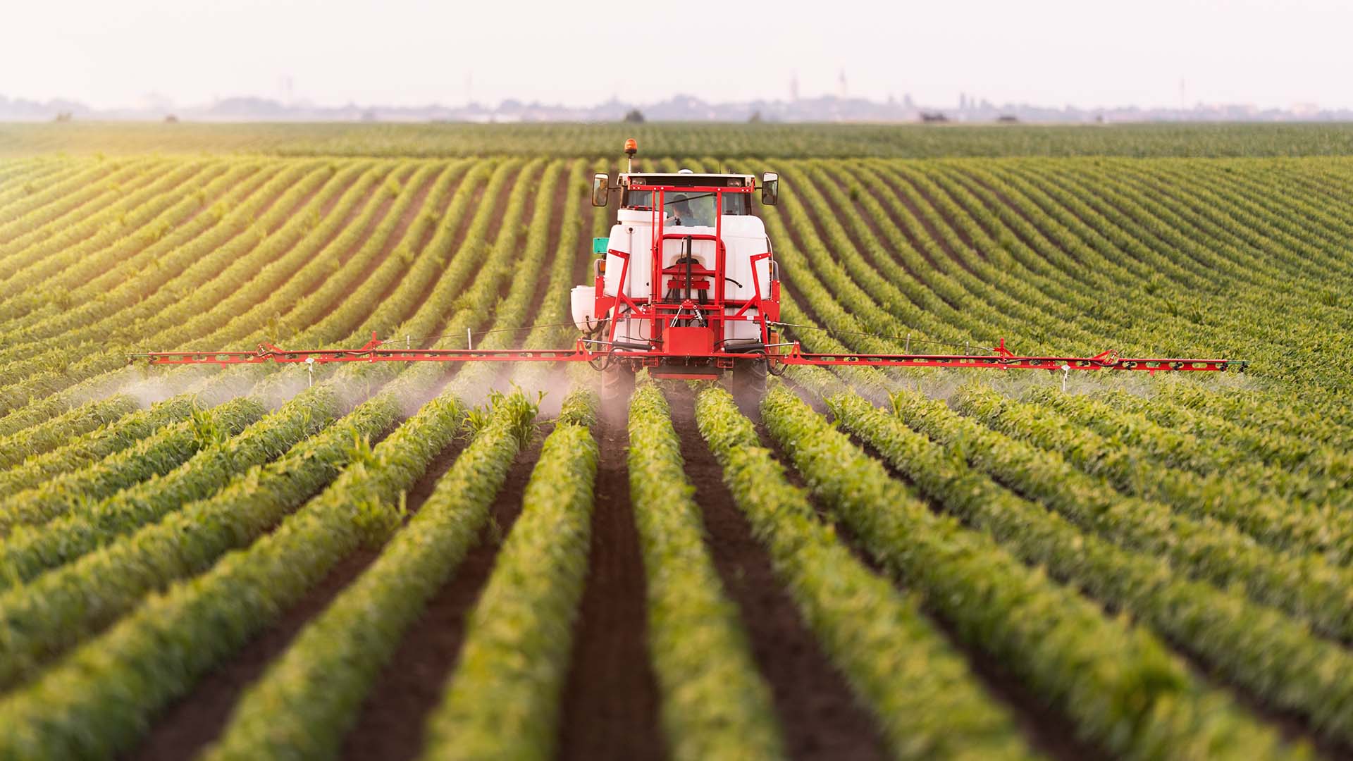Tractor on farm spraying chemicals over rows of crops